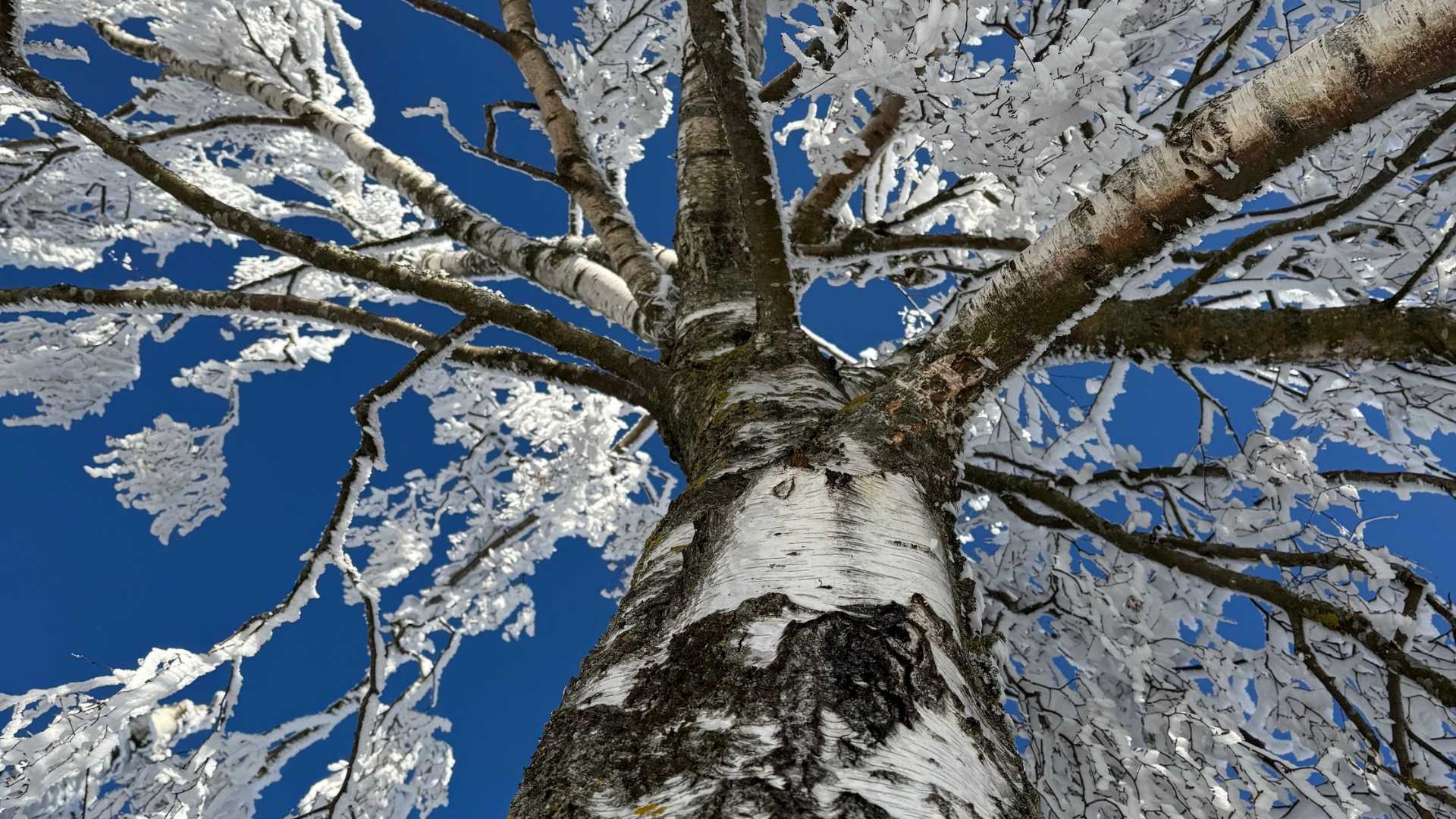 Vielfalt mit System: Wie eine klare Positionierung trotz vieler Themen möglich ist